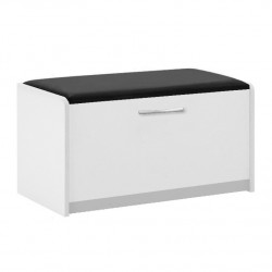 Batų dėžė - minkštasuolis BS2-BP 1000 (Balta/Niagara-25)